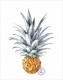 T-Shirt Ananas