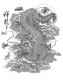 T-Shirt Large Neck Chinese Dragon