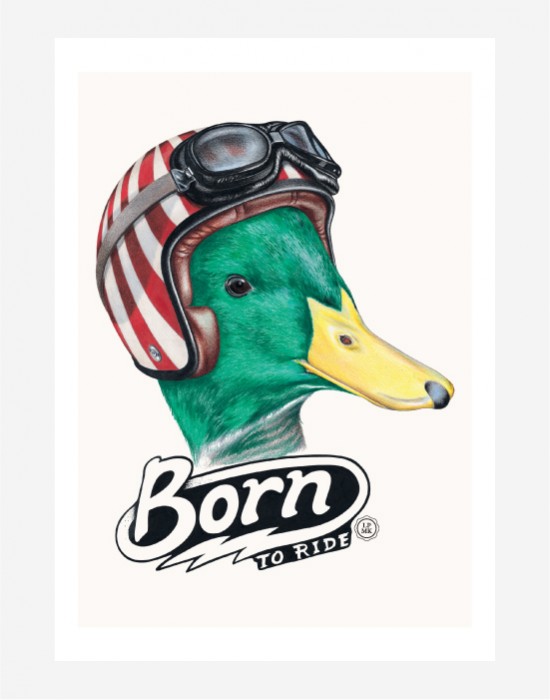 Poster Duck Rider