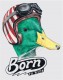 Poster Duck Rider