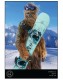Poster The Snowboarder