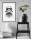 Poster The Stormtrooper