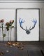 Poster Cerf