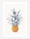 Poster Ananas