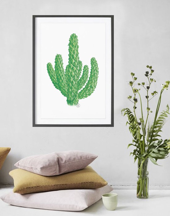 Poster Cactus