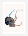 Poster Electro Skull