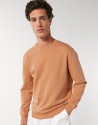 Sweat-Shirt Man Basic Mushroom